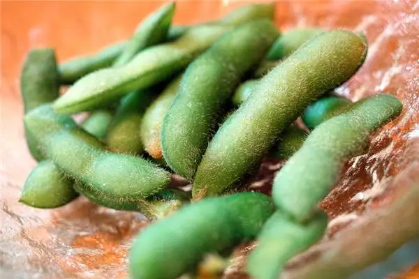 Dream of Edamame Meaning and Interpretation - NuvoraDream-DreamDecode