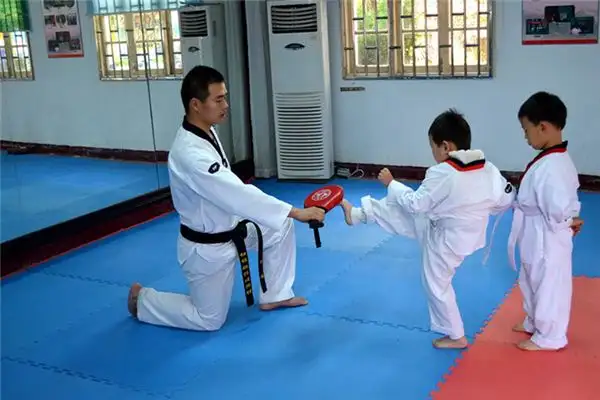Dreaming of Taekwondo Meaning and Interpretation - NuvoraDream