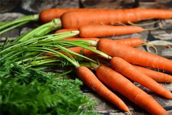 Dreaming of Carrots Meaning and Interpretation - NuvoraDream-DreamDecode