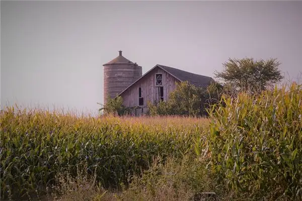 Dreaming of Granary Meaning and Interpretation - NuvoraDream-DreamDecode