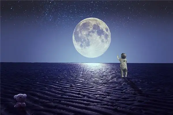 Dream Interpretation of Moonlit Night - NuvoraDream-DreamDecode