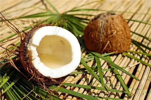 Dreaming of Coconuts Meaning and Interpretation - NuvoraDream-DreamDecode