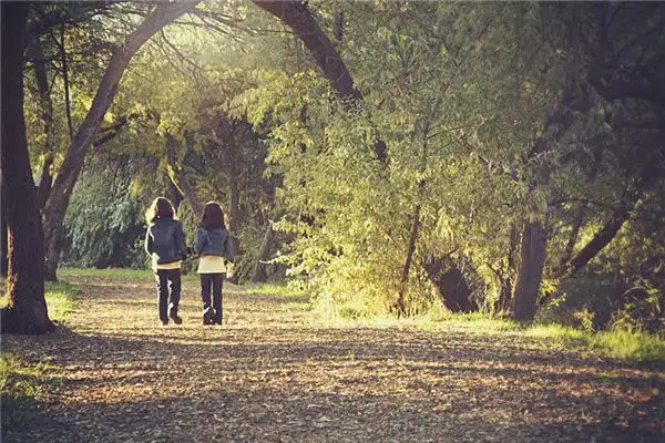 Dream Interpretation Walking in a Dream Meaning at NuvoraDream-DreamDecode