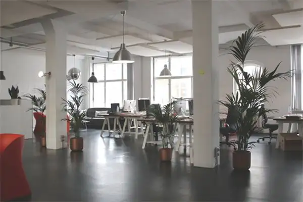 Dream Interpretation Office Meaning at NuvoraDream-DreamDecode