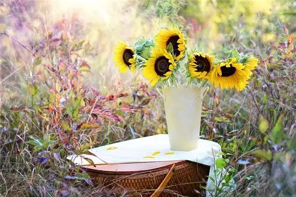 Dream Interpretation of Seeing a Bouquet - NuvoraDream-DreamDecode