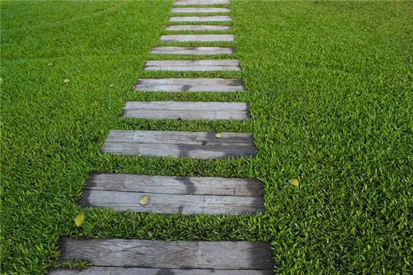 Dream Interpretation of Walking on a Path - NuvoraDream-DreamDecode