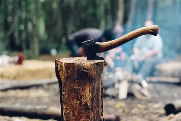 Dream Interpretation of Chopping Wood in Dreams-DreamDecode