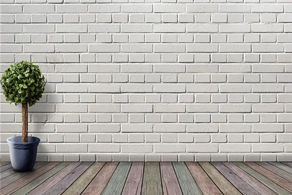 Dream Interpretation Walking Through Walls Meaning in Dreams-DreamDecode