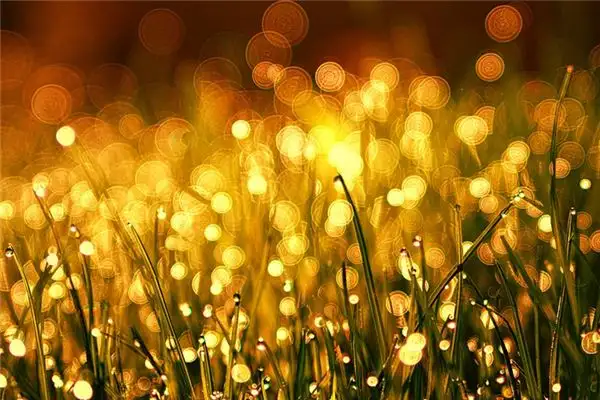 Dream Interpretation of Blurry Vision in Sleep-DreamDecode