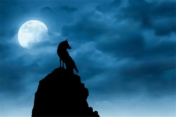 Dream Interpretation of Darkness at Night - NuvoraDream-DreamDecode