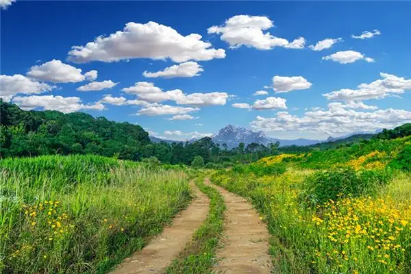 Dreaming of Country Roads Meaning and Interpretation - NuvoraDream-DreamDecode