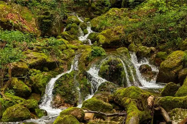 Dream Interpretation of a Stream in Your Sleep NuvoraDream-DreamDecode