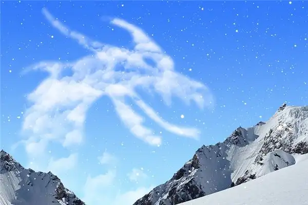 Dream of a White Dragon Meaning and Interpretation - NuvoraDream-DreamDecode