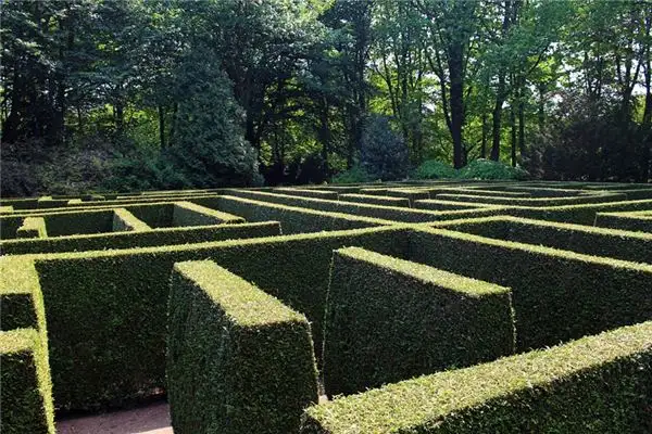 Dream Interpretation Lost Your Way Home NuvoraDream-DreamDecode