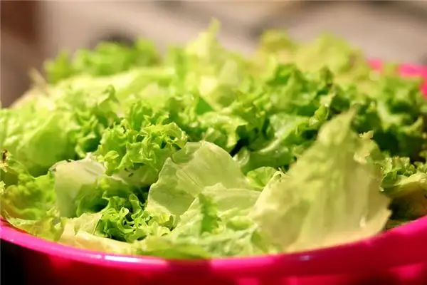 Dream Interpretation of Lettuce in Dreams - NuvoraDream-DreamDecode