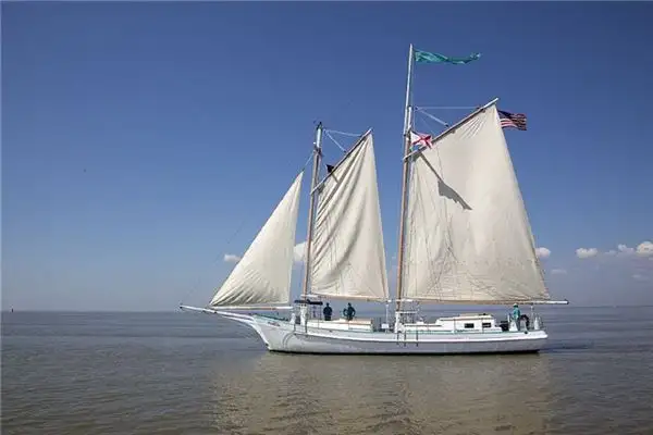 Dream of Strong Wind Meaning and Interpretation - NuvoraDream