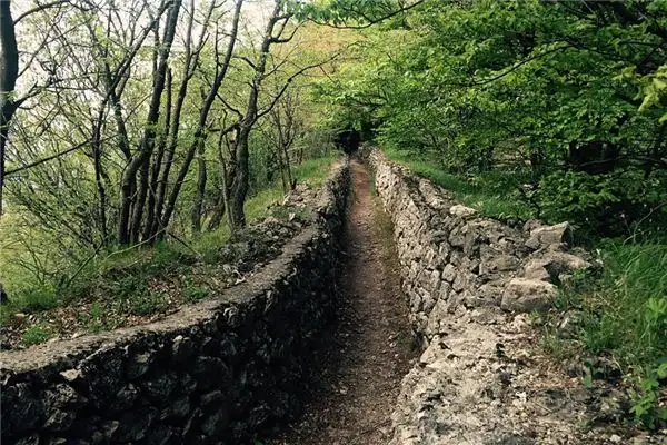 Dream Interpretation of Trenches in War - NuvoraDream-DreamDecode