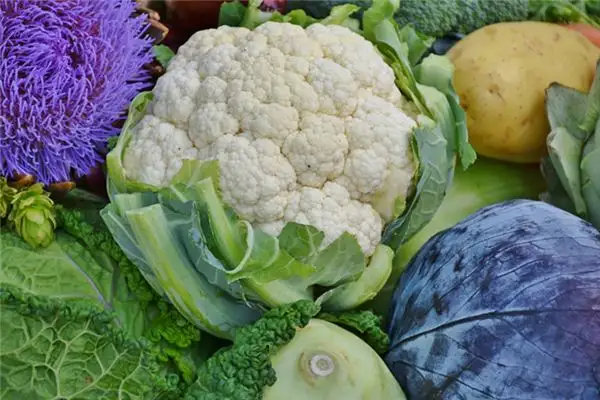 Dream of Cauliflower Meaning - NuvoraDream-DreamDecode