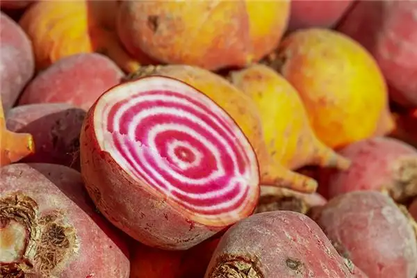 Dreaming of Beets Meaning and Interpretation - NuvoraDream - DreamDecode-DreamDecode