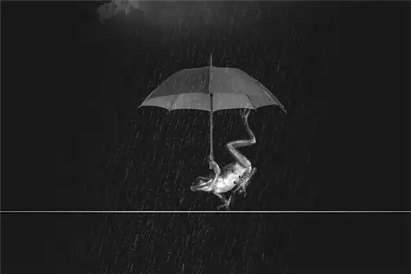 Dream Interpretation Heavy Rain Meaning at NuvoraDream