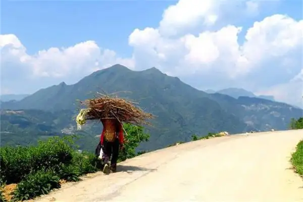 Dream Interpretation Carrying Firewood into House Meaning-DreamDecode