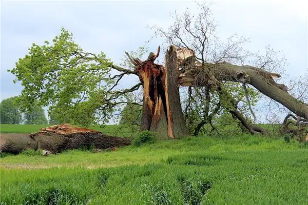 Dream Interpretation Broken Bones in Sleep Meaning-DreamDecode