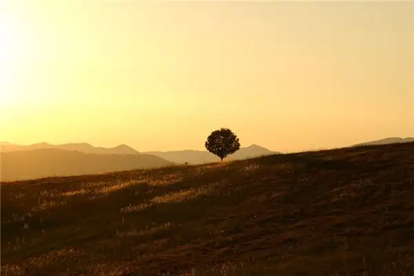 Dream Interpretation of Quietness in Sleep - NuvoraDream-DreamDecode