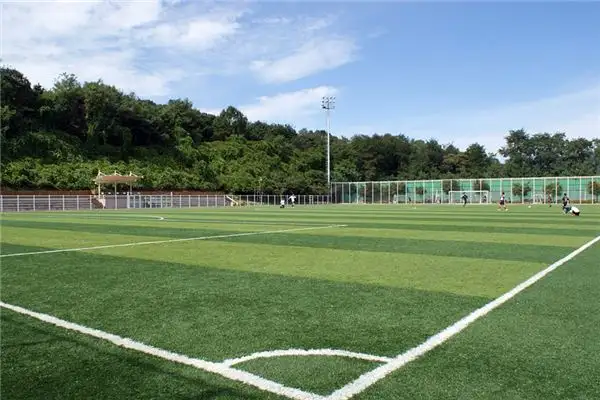 Dreaming of a Playground Meaning and Interpretation - NuvoraDream-DreamDecode