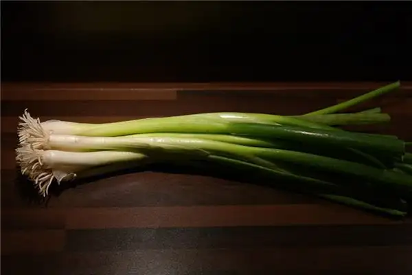 Dream of Green Onions Meaning and Interpretation - NuvoraDream-DreamDecode