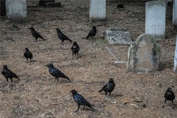 Dream Interpretation of Digging a Grave NuvoraDream-DreamDecode