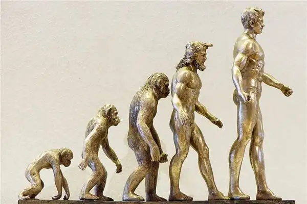 Dream Evolution Meaning and Interpretation - NuvoraDream-DreamDecode