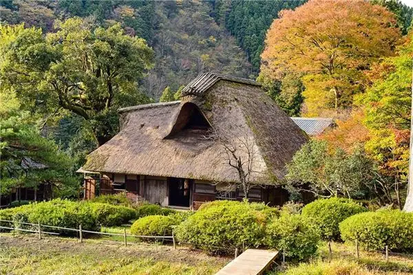 Dreaming of a Thatched Hut or Outhouse Meaning and Interpretation - NuvoraDream - DreamDecode-DreamDecode