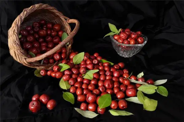 Dream Interpretation of Sour Jujube Meaning and Symbolism-DreamDecode