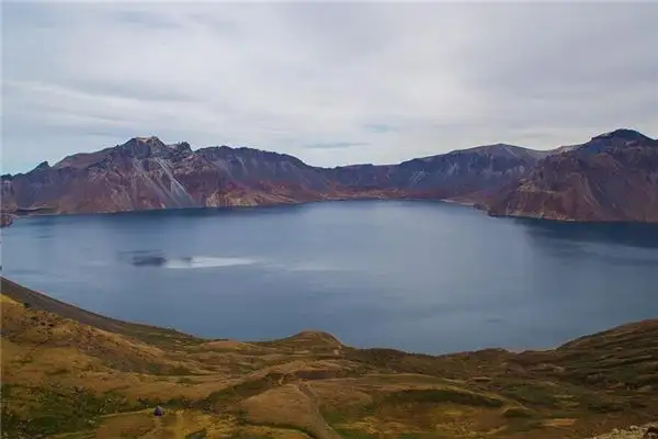 Dream Interpretation of Swimming Water Monster - NuvoraDream-DreamDecode