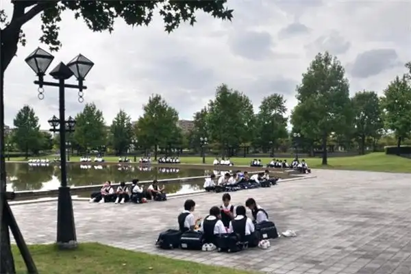 Dream Interpretation of Starting School at NuvoraDream-DreamDecode