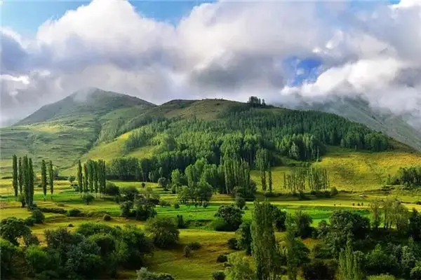 Dream Interpretation of Daytime in Your Dreams - NuvoraDream-DreamDecode