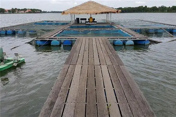 Dream of Pond Fish Pond Meaning and Interpretation - NuvoraDream-DreamDecode