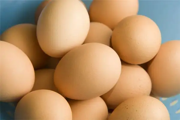 Dream Interpretation Finding Many Eggs Meaning - NuvoraDream-DreamDecode