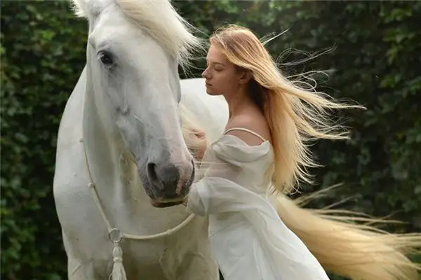 Dream Interpretation Combing a Horse Meaning and Symbolism-DreamDecode