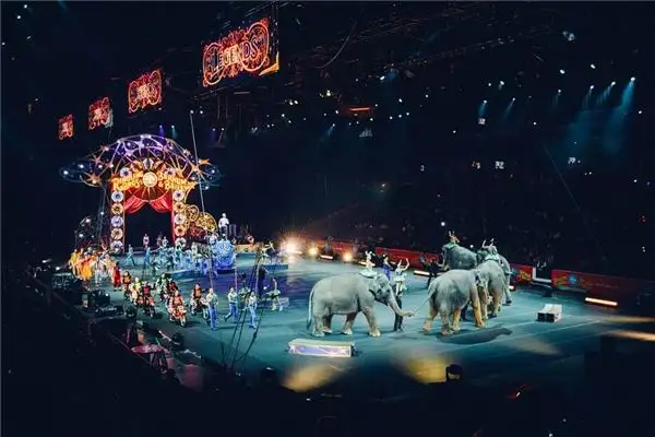Dream Interpretation of Watching a Circus Performance - NuvoraDream-DreamDecode