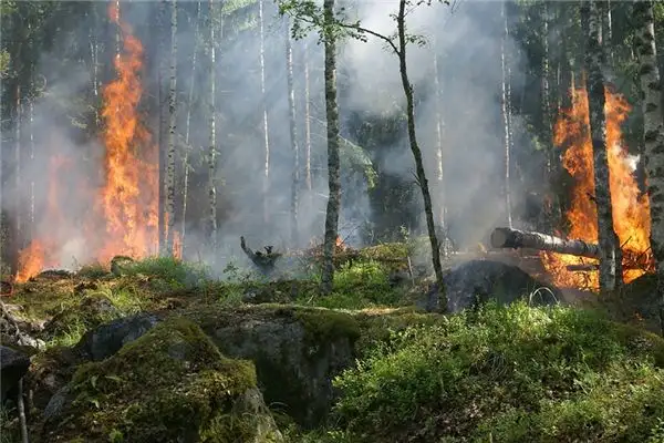 Dream of Mountain on Fire Meaning and Interpretation NuvoraDream-DreamDecode