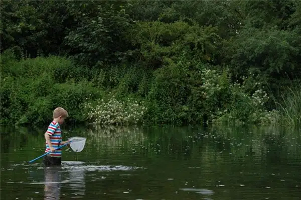 Dream Interpretation Catching Fish in Your Dream NuvoraDream-DreamDecode