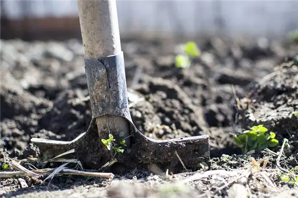 Dream Interpretation of Digging Ground Symbolism-DreamDecode