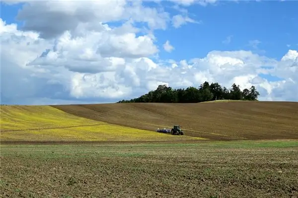 Dream Interpretation of Seeing a Field NuvoraDream-DreamDecode