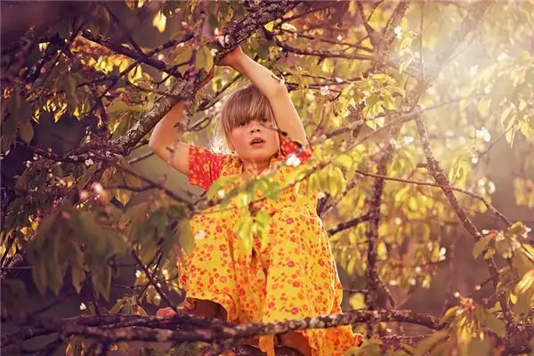 Dream Interpretation Climbing a Tree Meaning - NuvoraDream-DreamDecode