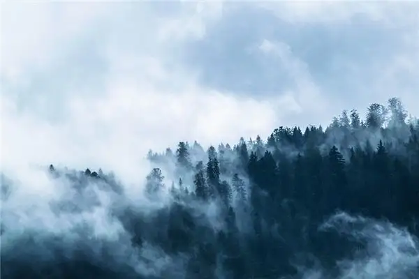 Dreaming of Fog Meaning and Interpretation - NuvoraDream-DreamDecode