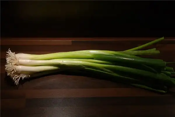 Dreaming of Planting Green Onions Meaning and Interpretation - NuvoraDream-DreamDecode