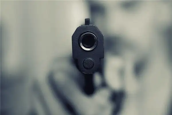 Dream Interpretation Buying a Gun Meaning on NuvoraDream-DreamDecode