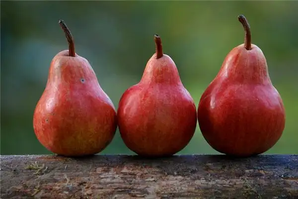 Dreaming of Pears Meaning and Interpretation - NuvoraDream-DreamDecode