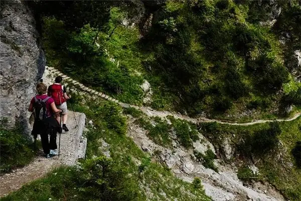 Dream Interpretation Walking on a Dangerous Path NuvoraDream-DreamDecode